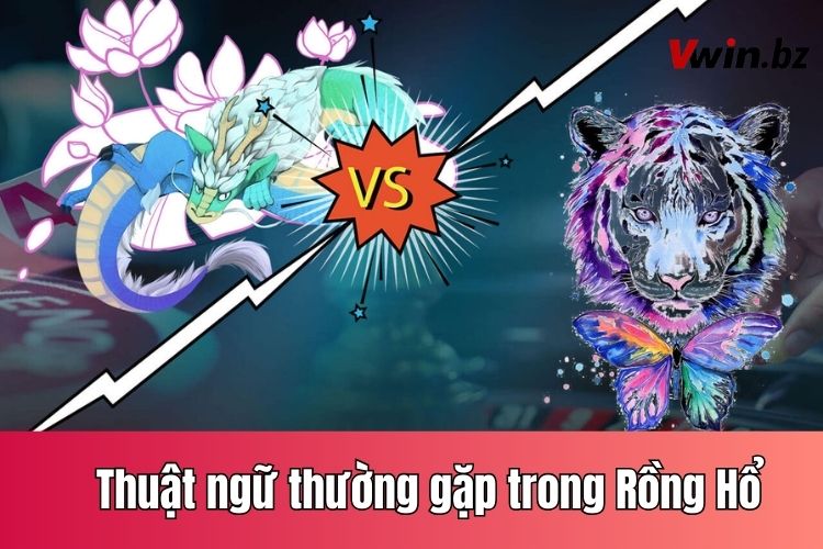 Thuật ngữ thường gặp trong tựa game Rồng Hổ